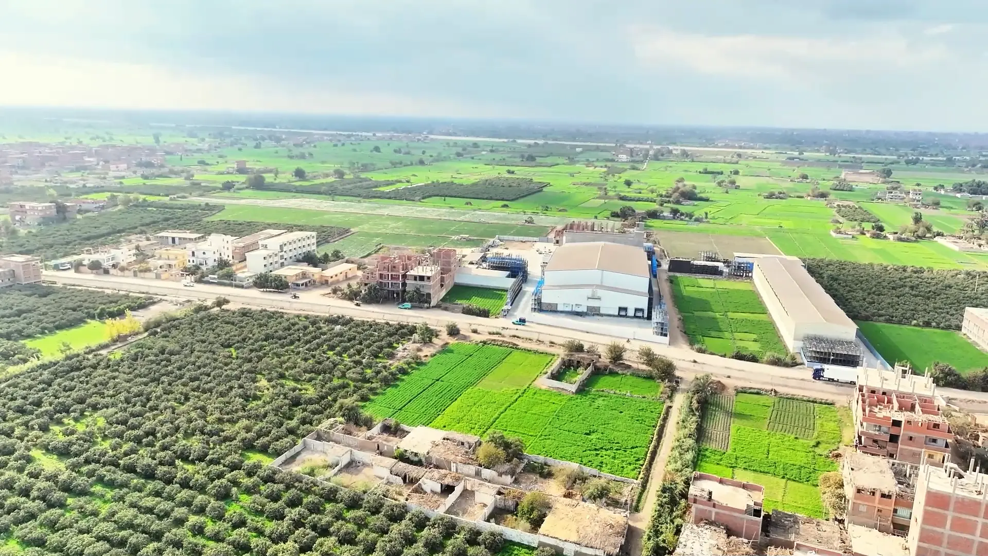 Al-Saad frozen fruit processing facility in Al Deir, Nile Delta, Egypt