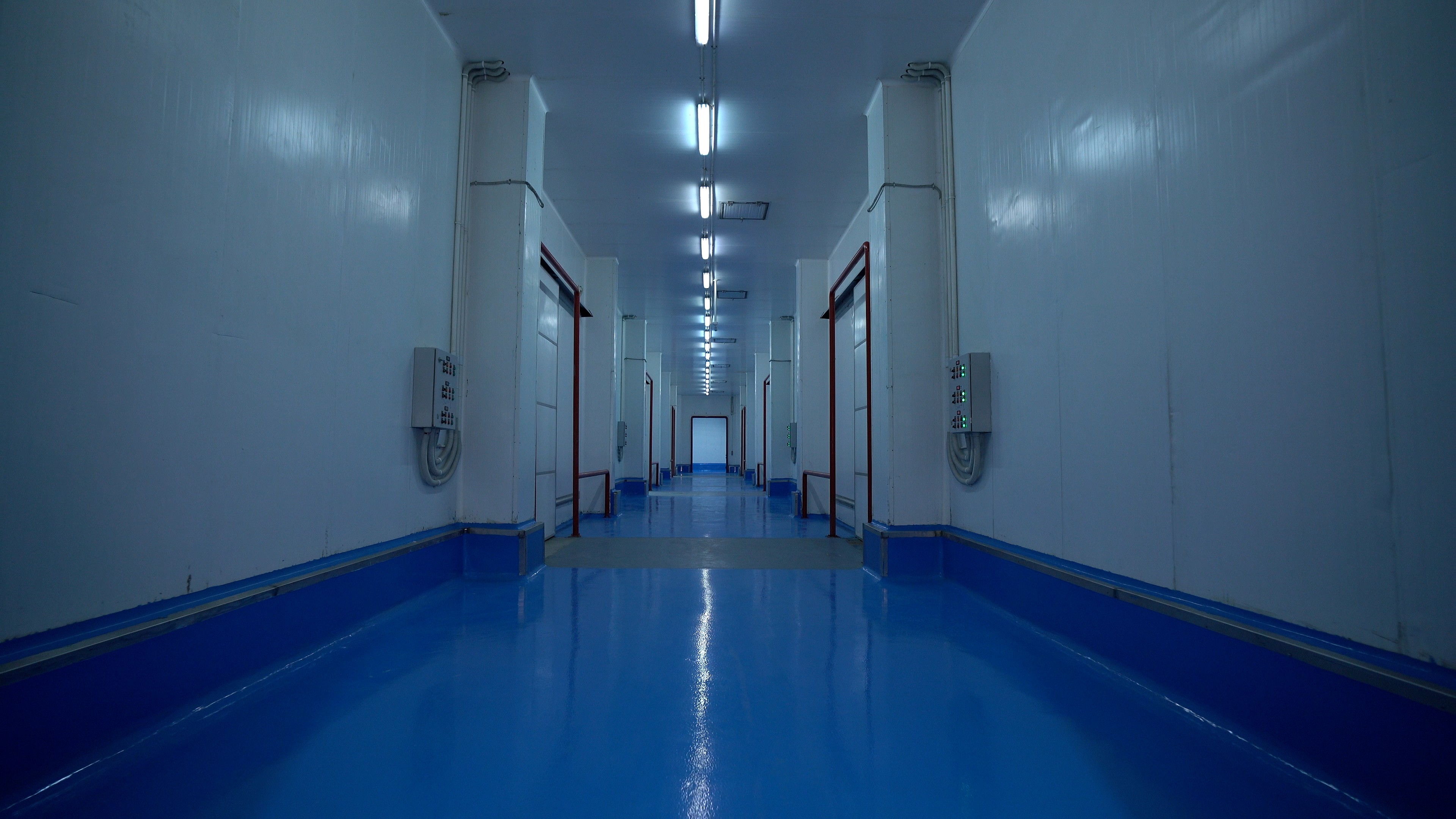 Al-Saad 5,000 MT cold storage facility, industrial frozen food storage corridor